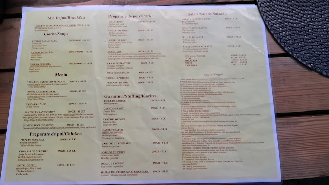 Opinii despre Popasul Castelului în Hunedoara - Gastronomie și ospitalitate