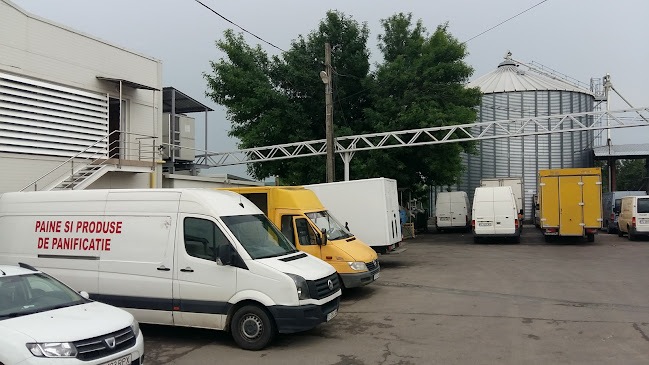 Opinii despre Cristian Impex Bakery în Tulcea - Gastronomie și ospitalitate