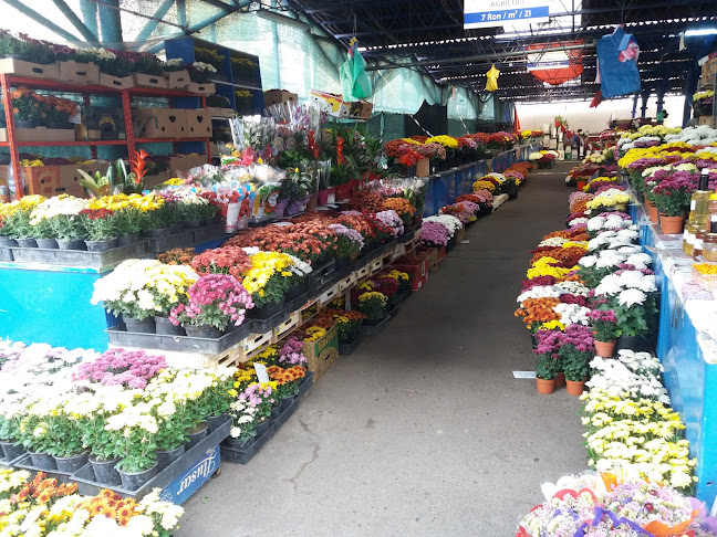 Comentarii opinii despre Piața Municipală-Decebal