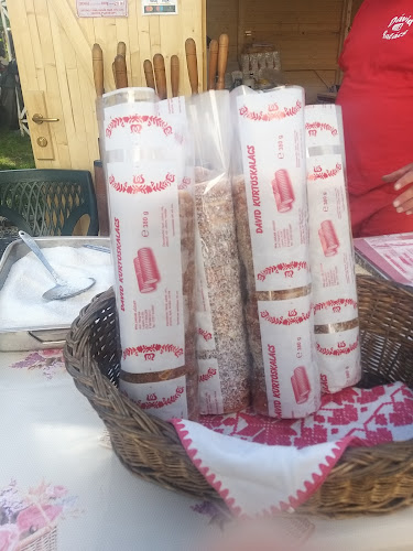 Strada Abatorului 2, Arad 310039