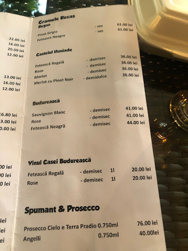 Comentarii opinii despre RESTAURANT MUNTENIA