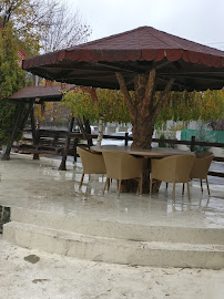 Hotel Restaurant Hollywood