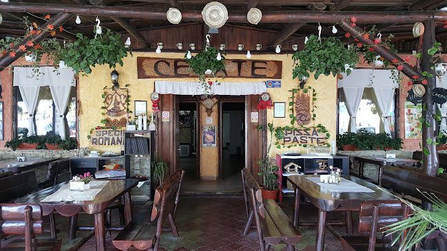 Terasa Cetate Mamaia - Constanța