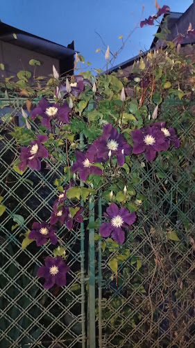 Apetit Catering - Cluj-Napoca