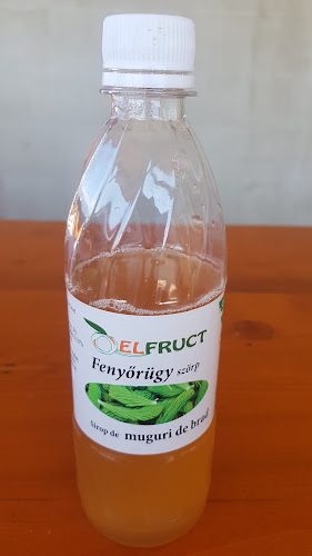 Manufactură sucuri - Elfruct