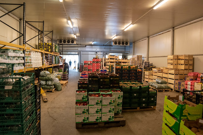 Comentarii opinii despre Ponable Com