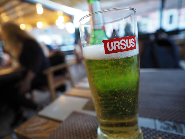 Opinii despre Casa Românească în Brașov - Gastronomie și ospitalitate