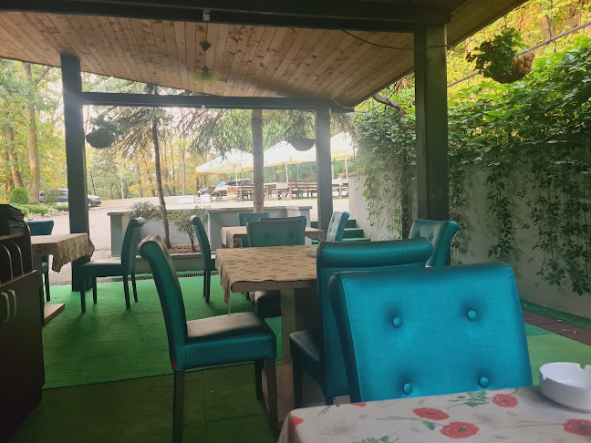 Opinii despre Bradet în Suceava - Gastronomie și ospitalitate