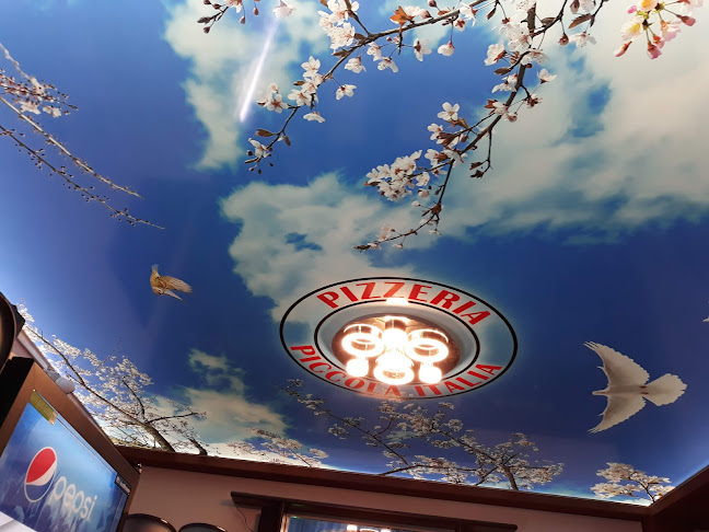 Pizzerie Piccola Italia - Gastronomie și ospitalitate