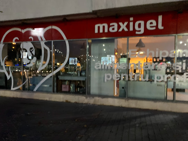 Maxigel - filiala Iasi