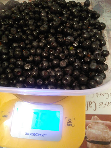 Aleea Neptun 4, Baia Mare 430042