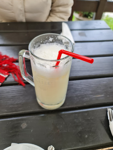 Comentarii opinii despre La Costică