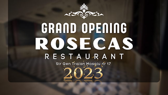 17, Strada General Traian Moșoiu St, Oradea 410072