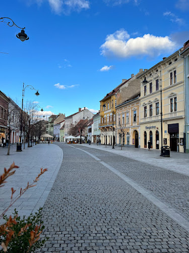 The Gallery - Gastronomie și ospitalitate