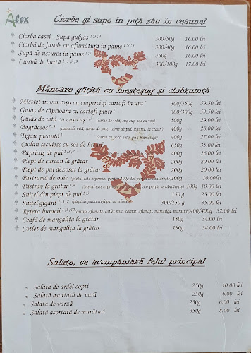 Strada Theodor Aman 9, Sinaia 106100