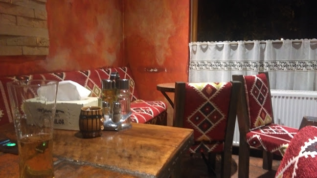 Restaurant Casa Dacilor Brancusi - Gastronomie și ospitalitate