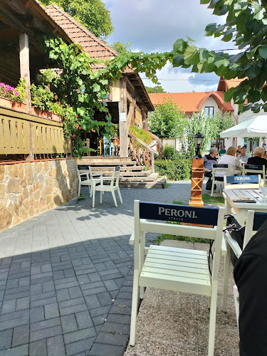 Hanul Teilor - Dănești