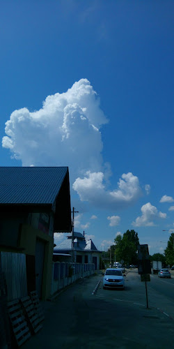 Opinii despre Piaţa Peco în Alexandria - Gastronomie și ospitalitate