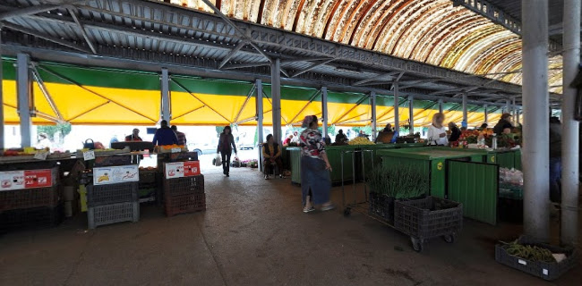 Piața Catedralei - Gastronomie și ospitalitate