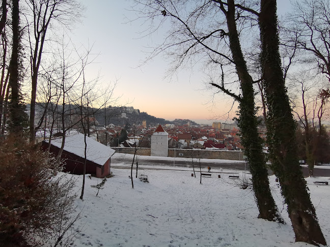 Opinii despre Sub Tâmpa în Brașov - Gastronomie și ospitalitate