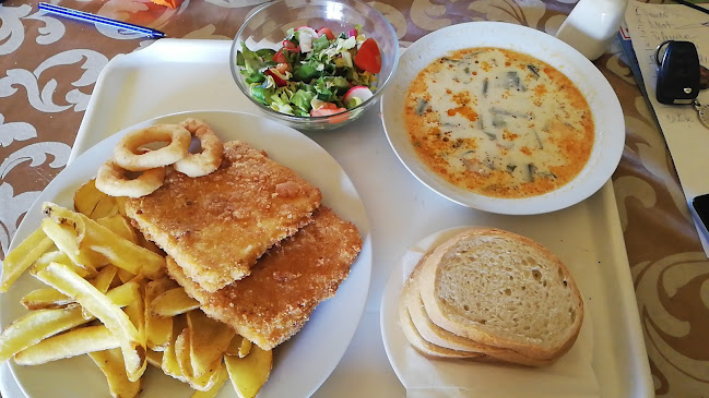 Comentarii opinii despre Milenium D&D