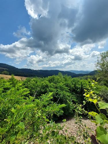 Restaurant Vegas - Gastronomie și ospitalitate