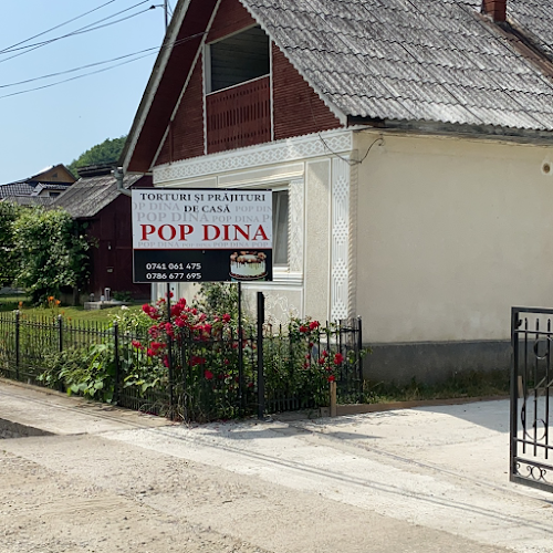 Dina Pop Razoare