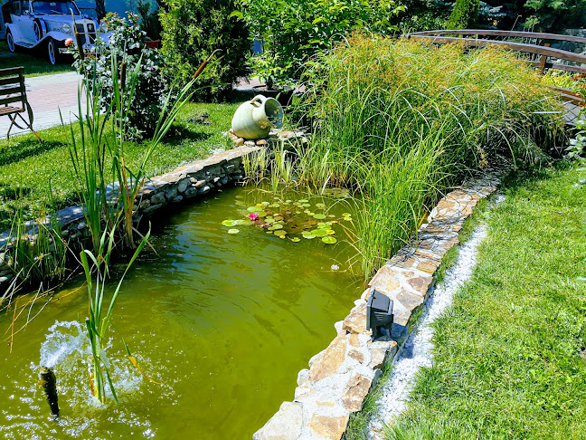 Comentarii opinii despre Restaurant Amedeo