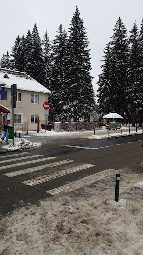 Comentarii opinii despre Capra Neagră Rustic - Poiana Brașov