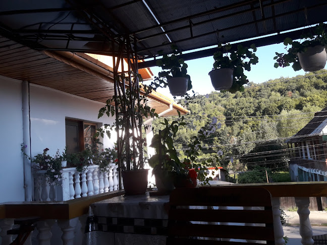 Restaurant – Pensiune Casa Albă - Gastronomie și ospitalitate