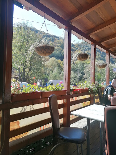 Opinii despre Restaurant Piatra Scrisă în Armeniș - Gastronomie și ospitalitate