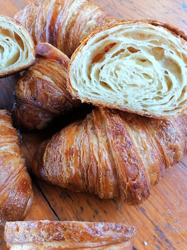 Strada Avram Iancu 54A, Brașov 500075