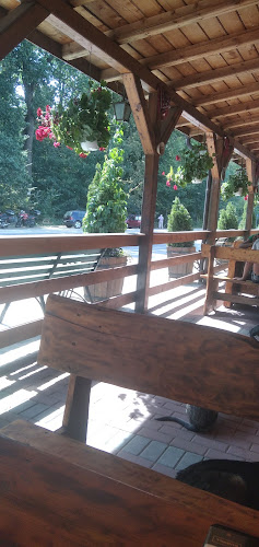 Restaurant Popas Lunca Banului - Gastronomie și ospitalitate