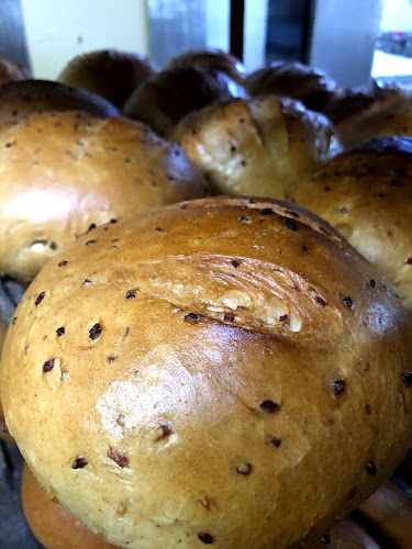 LARISCH EXIM S.R.L. - Cămin