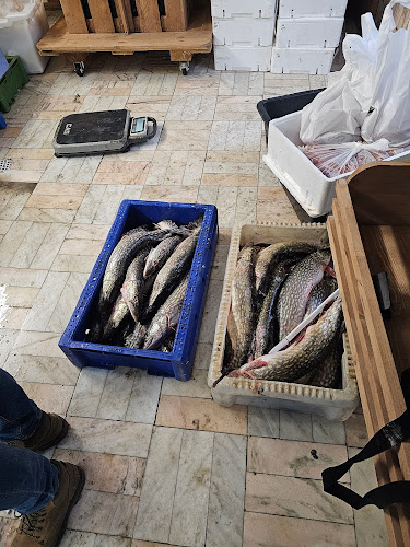 Solzi - Gastronomie și ospitalitate