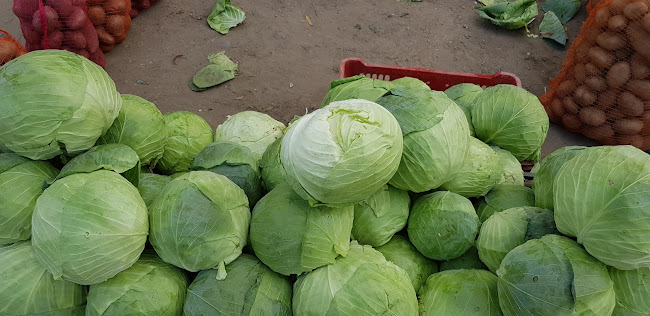 Comentarii opinii despre Fruct Expres SRL