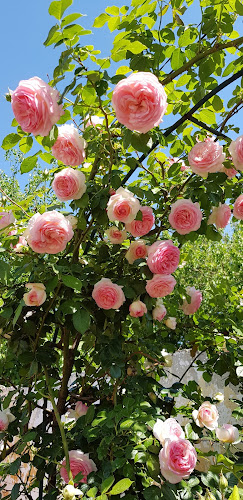 Opinii despre Breda Caffe & Car Wash în Oradea - Gastronomie și ospitalitate