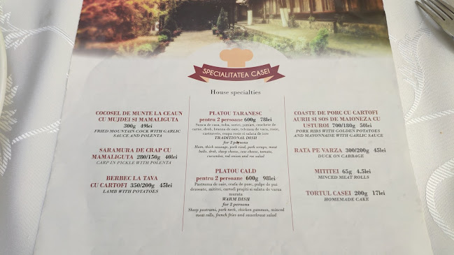 Comentarii opinii despre Casa Pustnicu