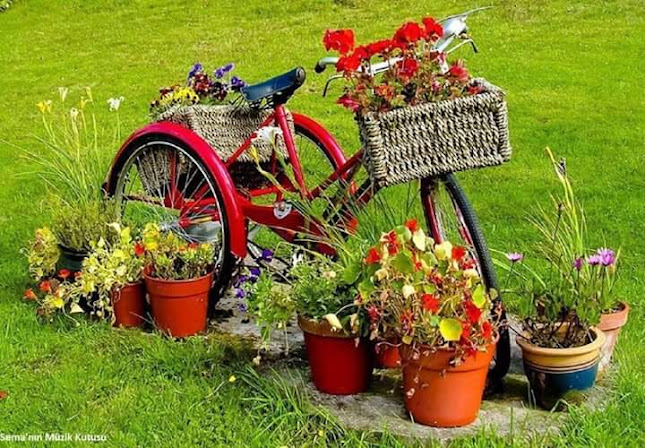 Opinii despre Zuican în Segarcea - Gastronomie și ospitalitate