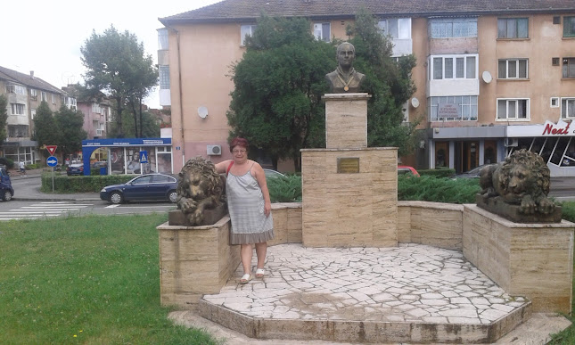 Comentarii opinii despre Always Fresh