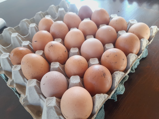 Piaţa Agroalimentară