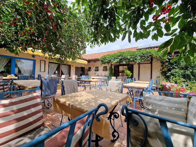 Comentarii opinii despre Blue Window