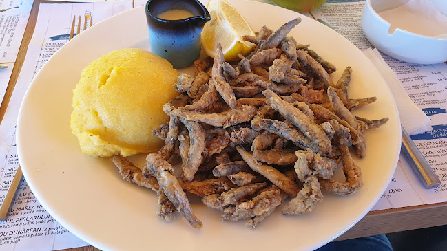 Opinii despre Pește și Vin în Brăila - Gastronomie și ospitalitate