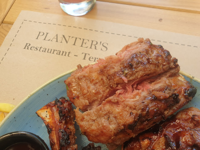 Strada Corneliu Coposu 109, Craiova 200341