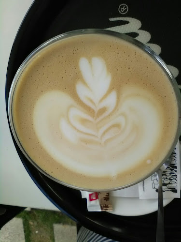 Aleea Ștrandului 3, Oradea 410008