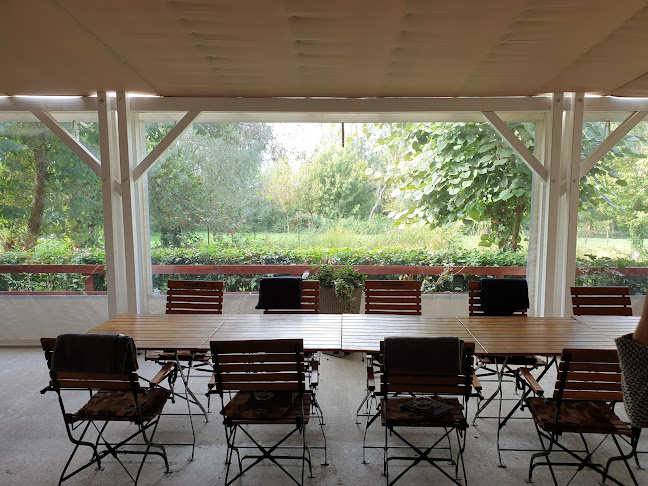 Padurea Ceala Complex Zori de Zi FN, Arad 310031