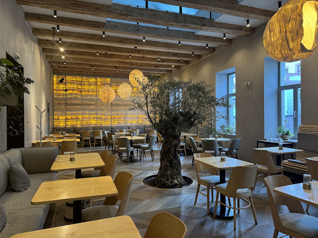 Samsara Foodhouse - Cluj-Napoca