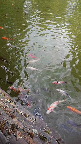 Strada Valea Roșie 28, Baia Mare