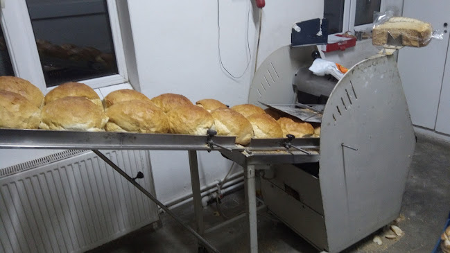 Brutaria Sc Agroservice Bucsa - Gastronomie și ospitalitate