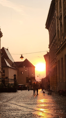 Strada Someșului 31, Sibiu 550003